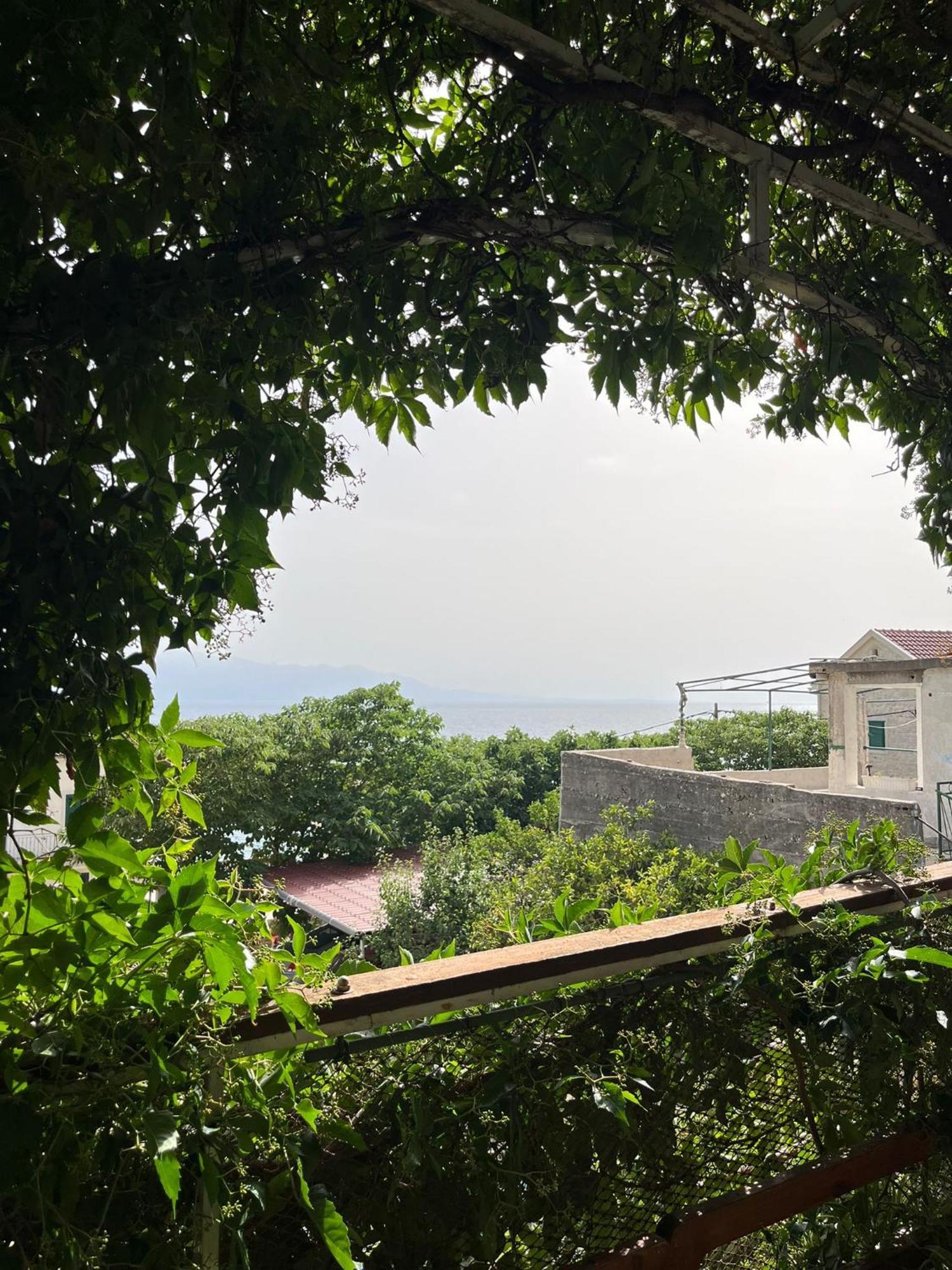 Apartmani Ankora 브리스트 객실 사진